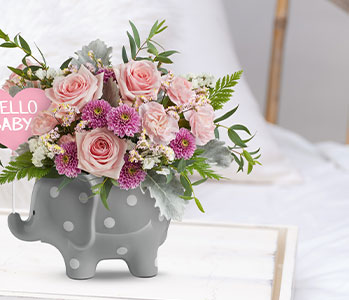 Teleflora's Dreamy Delight Bouquet - BPink