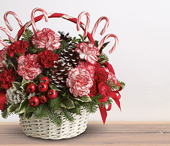 Candy Cane Christmas