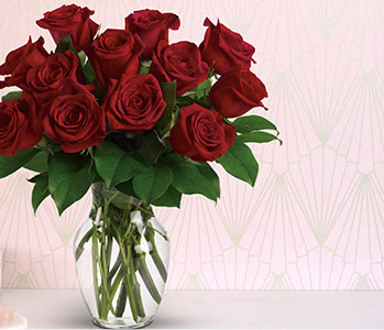 Enduring Passion - 12 Red Roses