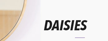 DAISIES