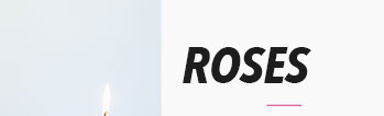 ROSES