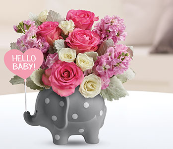 Teleflora's Hello Sweet Baby - Pink