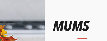MUMS