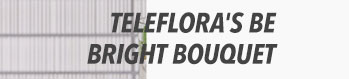 Teleflora's Be Bright Bouquet