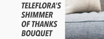 Teleflora's Shimmer Of Thanks Bouquet