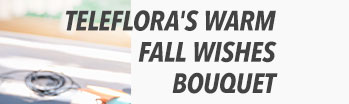 Teleflora's Warm Fall Wishes Bouquet