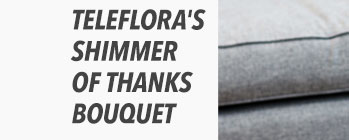 Teleflora's Shimmer Of Thanks Bouquet