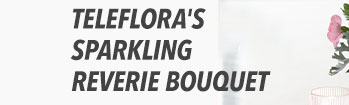 Teleflora's Sparkling Reverie Bouquet