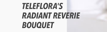 Teleflora's Radiant Reverie Bouquet