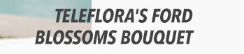 Teleflora's Ford Blossoms Bouquet