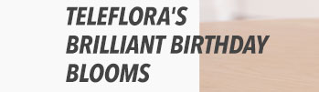 Teleflora's Brilliant Birthday Blooms