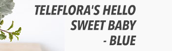 Teleflora's Hello Sweet Baby - Blue