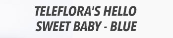 Teleflora's Hello Sweet Baby - Blue