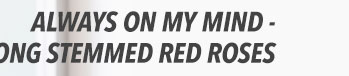 Always on My Mind - Long Stemmed Red Roses