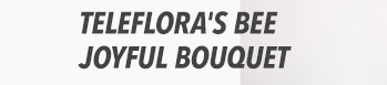 Teleflora's Bee Joyful Bouquet