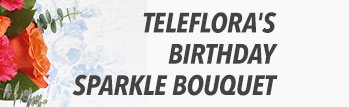 Teleflora's Birthday Sparkle Bouquet