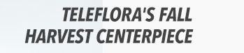 Teleflora's Fall Harvest Centerpiece