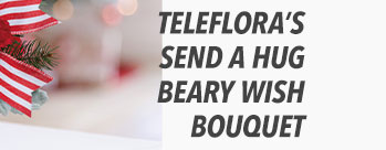 Teleflora’s Send A Hug Beary Wish Bouquet