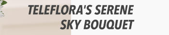 Teleflora's Serene Sky Bouquet