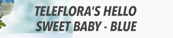Teleflora's Hello Sweet Baby - Blue