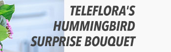 Teleflora's Hummingbird Surprise Bouquet