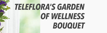 Teleflora's Garden Of Wellness Bouquet