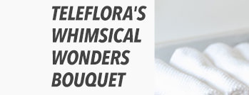 Teleflora's Whimsical Wonders Bouquet