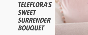 Teleflora's Sweet Surrender Bouquet