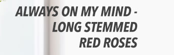 Always on My Mind - Long Stemmed Red Roses