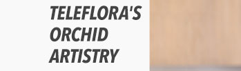Teleflora's Orchid Artistry