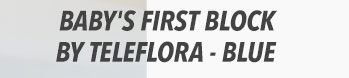 Baby's First Block by Teleflora - Blue