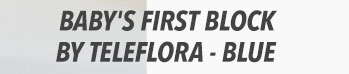 Baby's First Block by Teleflora - Blue