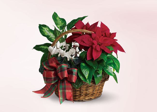 Holiday Homecoming Basket