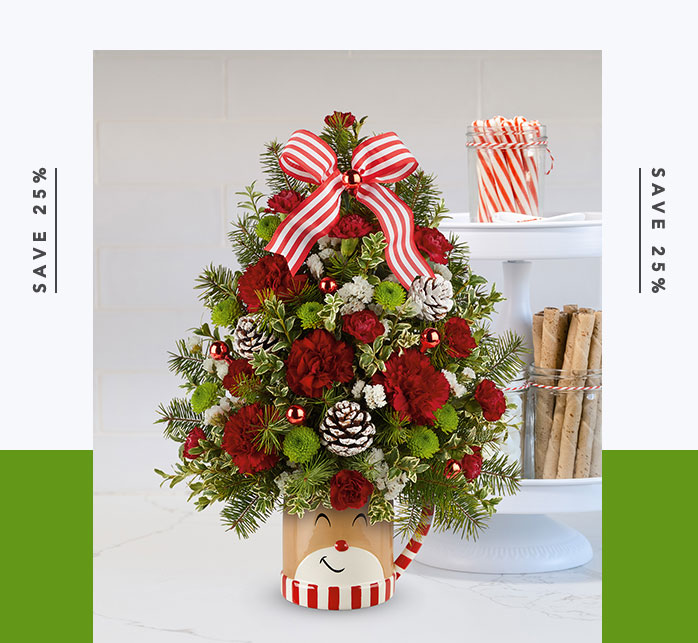 Teleflora's Send a Hug® Merry Reindeer Tree