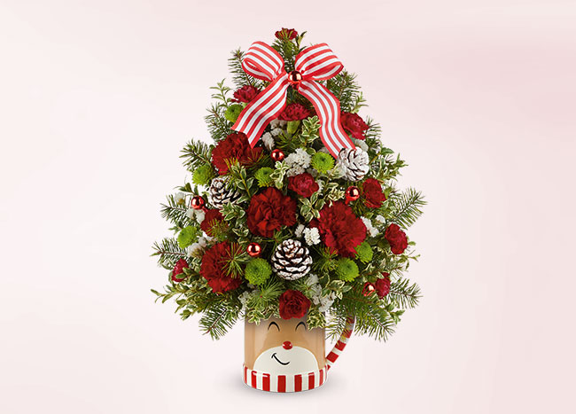 Teleflora's Send a Hug® Merry Reindeer Tree