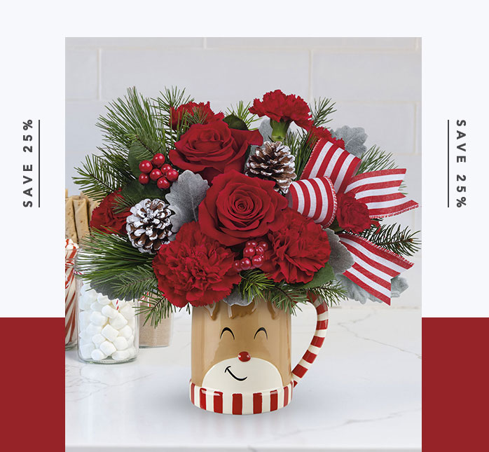 Teleflora's Send a Hug Reindeer Wish Bouquet