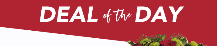 CHRISTMAS<br>DEAL OF THE DAY