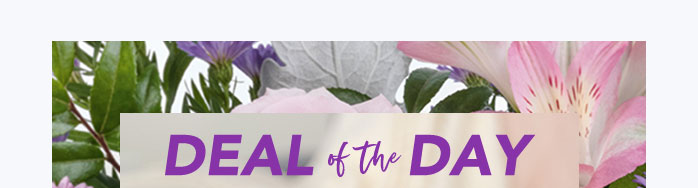 STEAL THIS DEAL FOR MOM