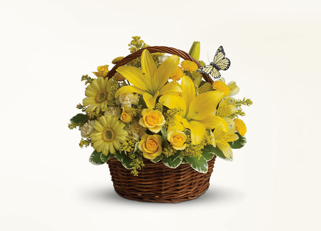 Basket Full of Wishes