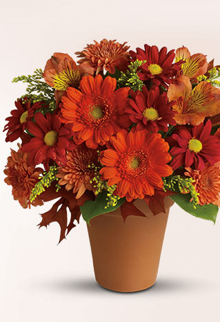 Teleflora's Contemporary Blossoms Bouquet