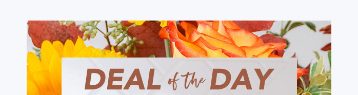 DEAL OF THE TURKEY DAY