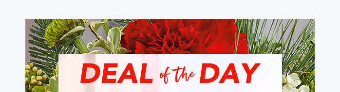 CELEBRATE CYBER MONDAY NOW