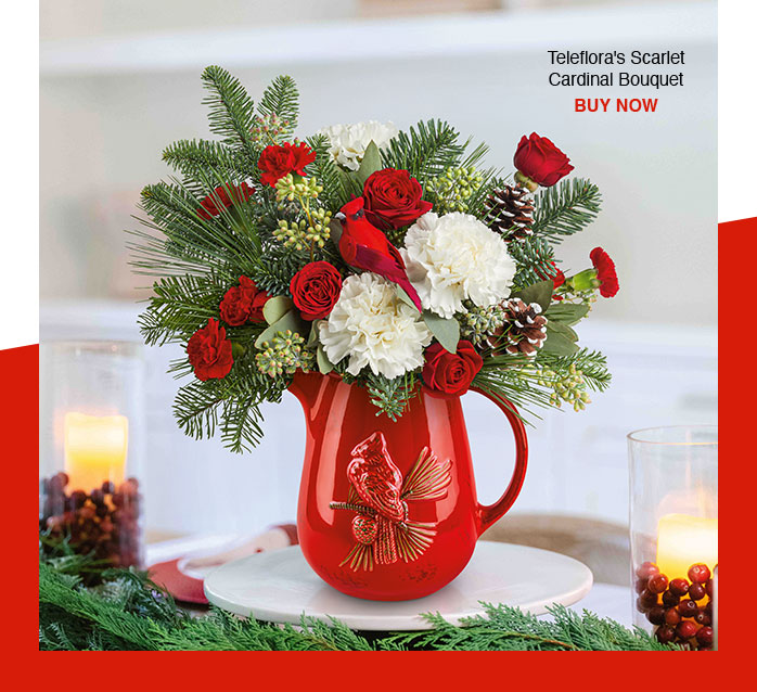 Teleflora's Scarlet Cardinal Bouquet