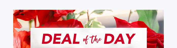 STEAL HEARTS WITH THIS DEAL