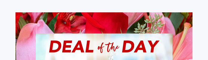 DON’T MISS OUT<br>ON LOVE 