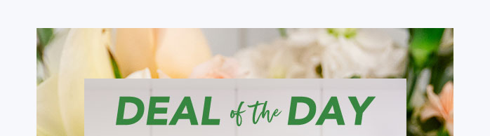 DEAL OF THE DAY