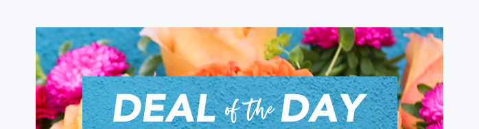 DEAL OF THE DAY