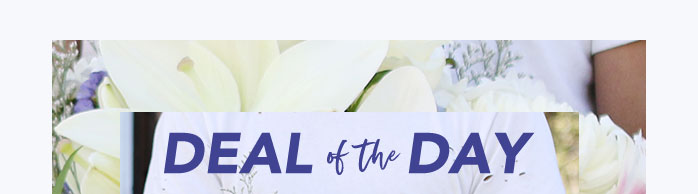 STEAL THIS DEAL