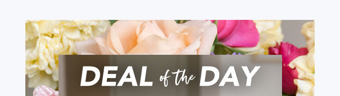 SEAL THE DEAL