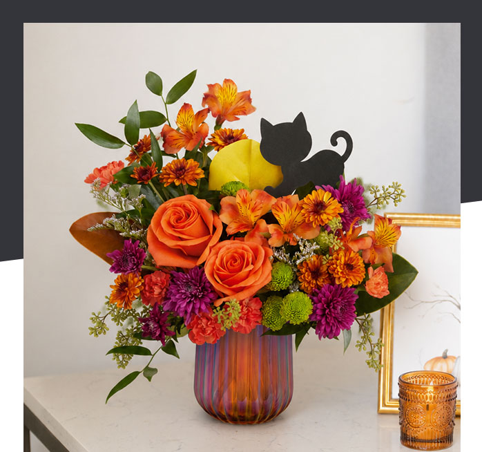 Teleflora's Midnight Meow Bouquet